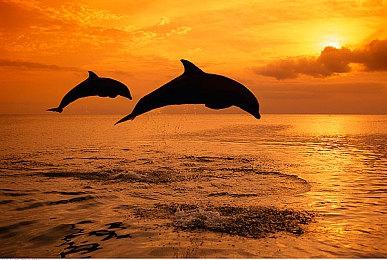 没人，比我，更懂，元宇宙